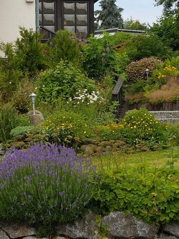 Claudias Wohlfuhlpension Willingen  Exteriör bild